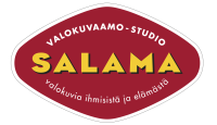 yrityksen logo: salama ohjeisto 2